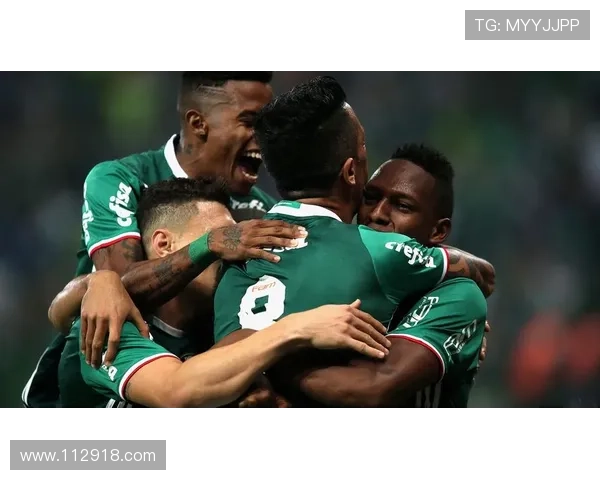 巴西甲级联赛高清直播：绿茵豪门激战正酣